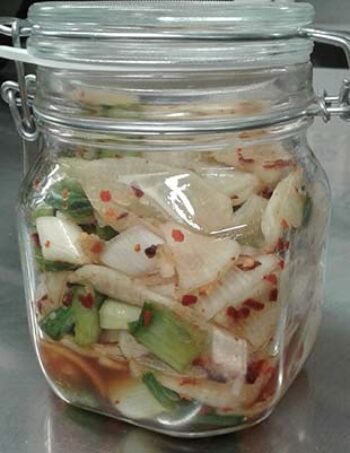 Daikon-600